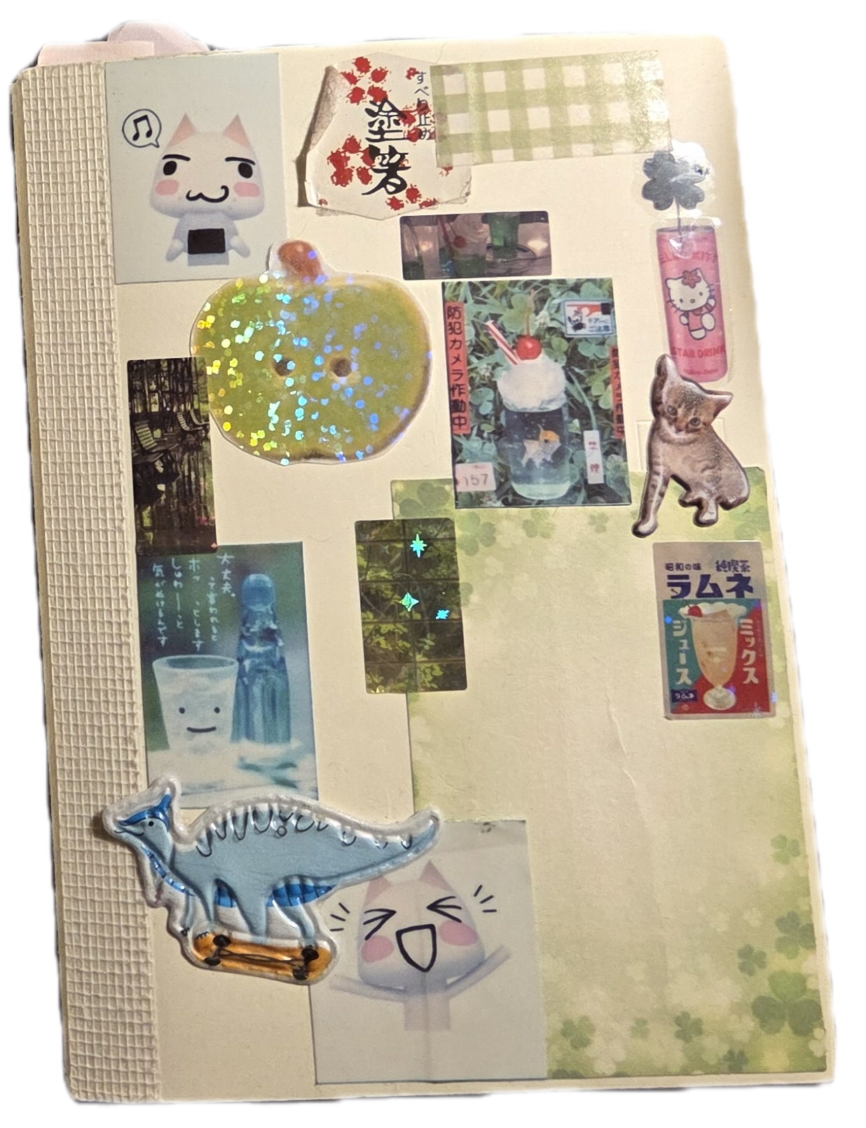 My Midori Journal Irl