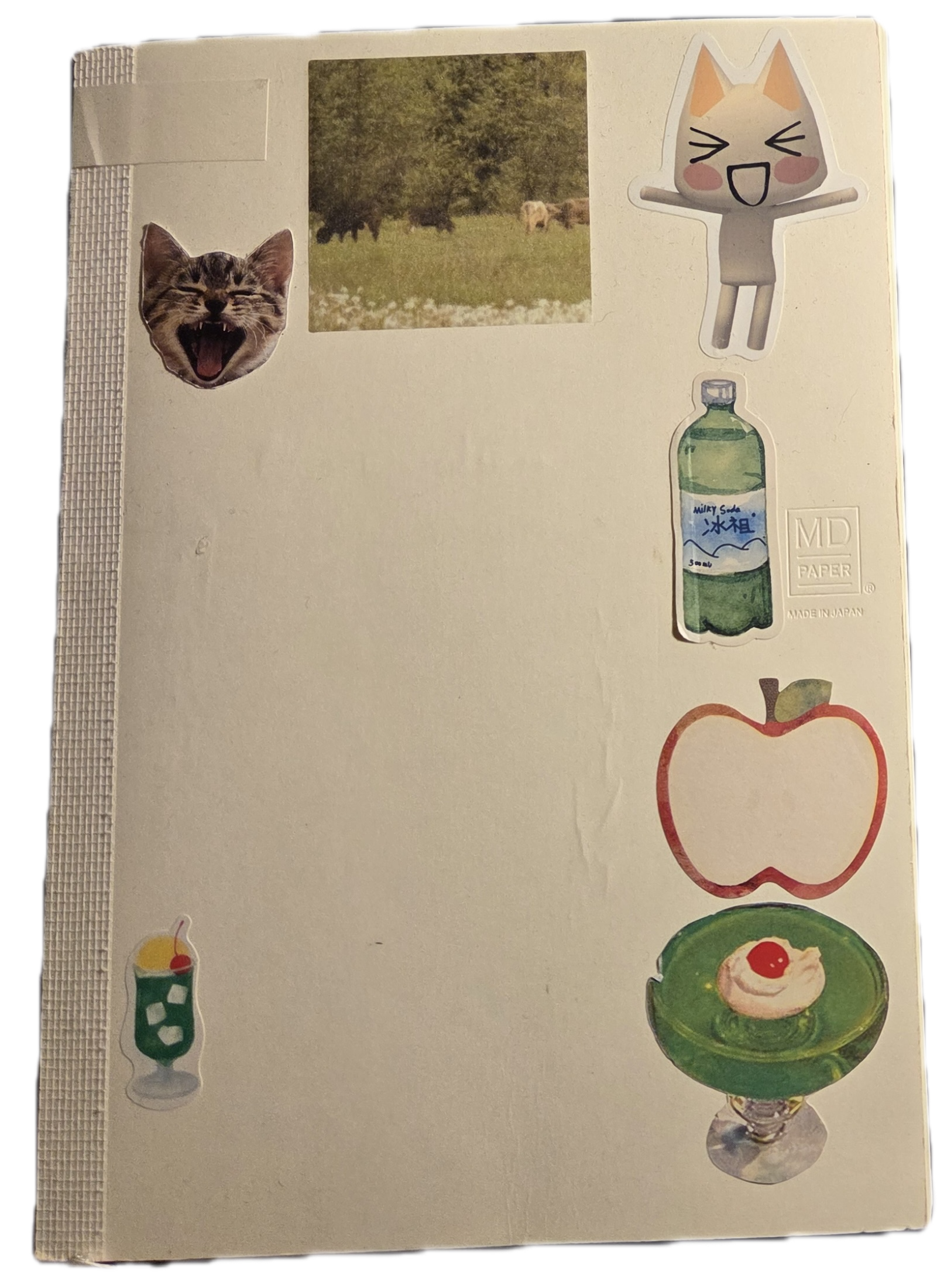 My Midori Journal Irl